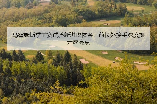 马霍姆斯季前赛试验新进攻体系，酋长外接手深度提升成亮点